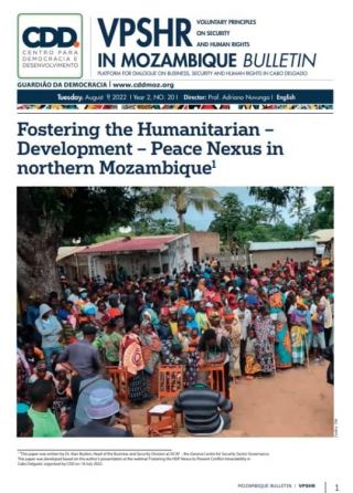 Fostering the Humanitarian-Development-Peace Nexus in Northern Mozambique: the Role of Multistakeholder Initiatives