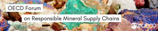 Upcoming Webinar at the OECD Minerals Forum: Leveraging the mineral supply chain in the implementation of the VPs in the DRC