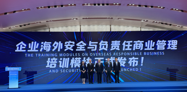 Strengthening Management of  Security and Social Conflict Risks in Mineral Supply Chains