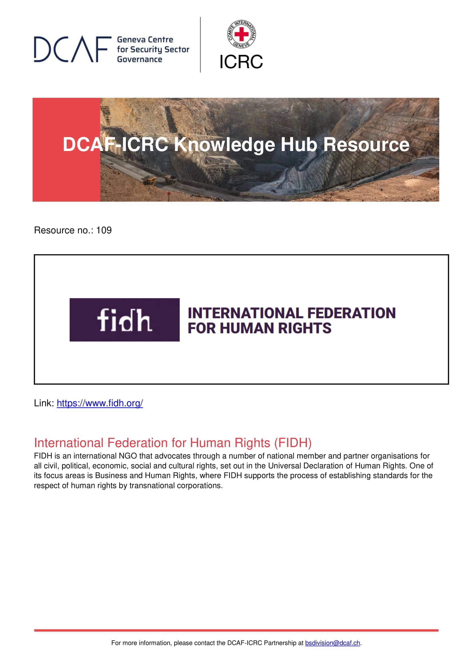 International Federation for Human Rights (FIDH)