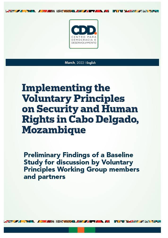 Baseline Study Findings: Implementing the VPs in Cabo Delgado, Mozambique