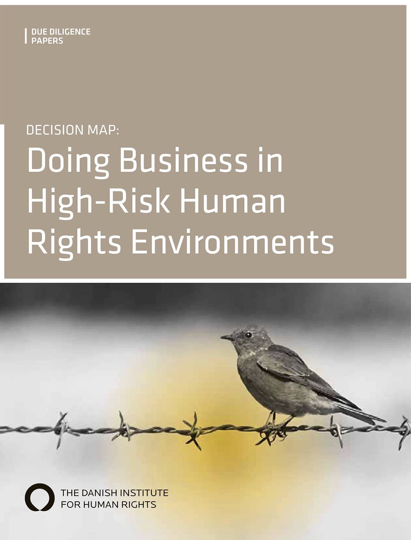 Decision Map: Doing Business in High-Risk Human Rights Environments (DIHR, 2010)
