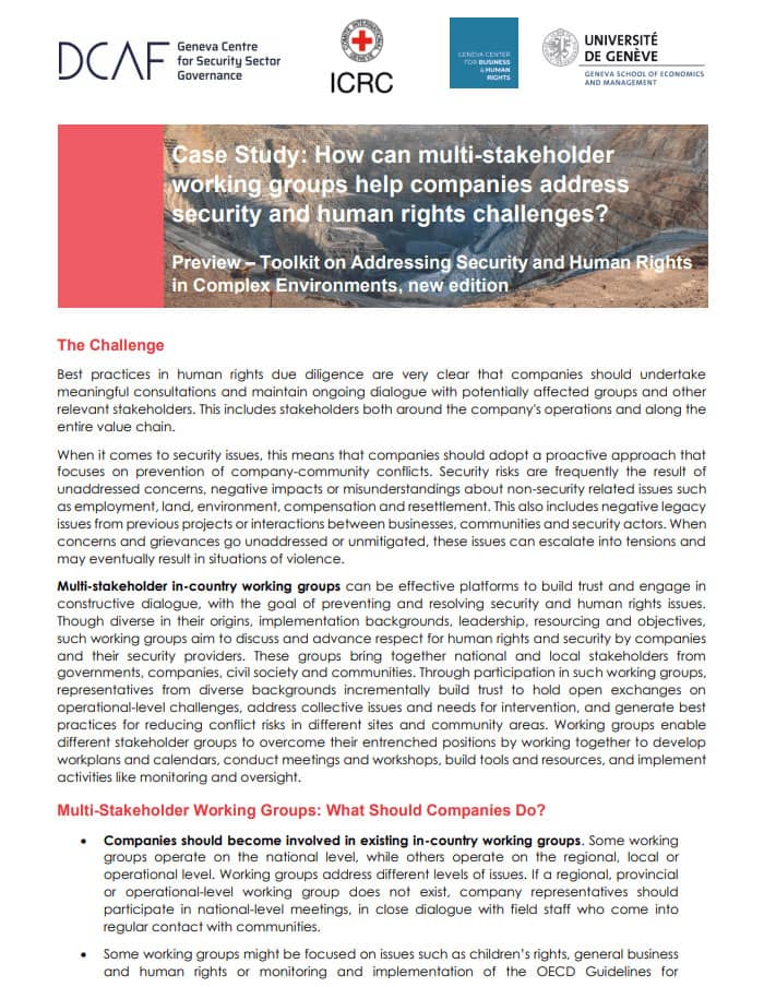 Case Study: How can multi-stakeholder working groups help companies address security and human rights challenges?