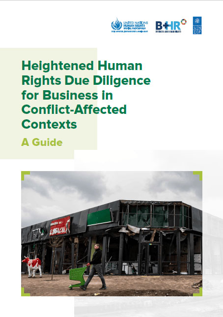 Heightened Human Rights Due Diligence for Business in Conflict-Affected Contexts: A Guide (UNDP and UN Working Group on Business and Human Rights, June 2022)