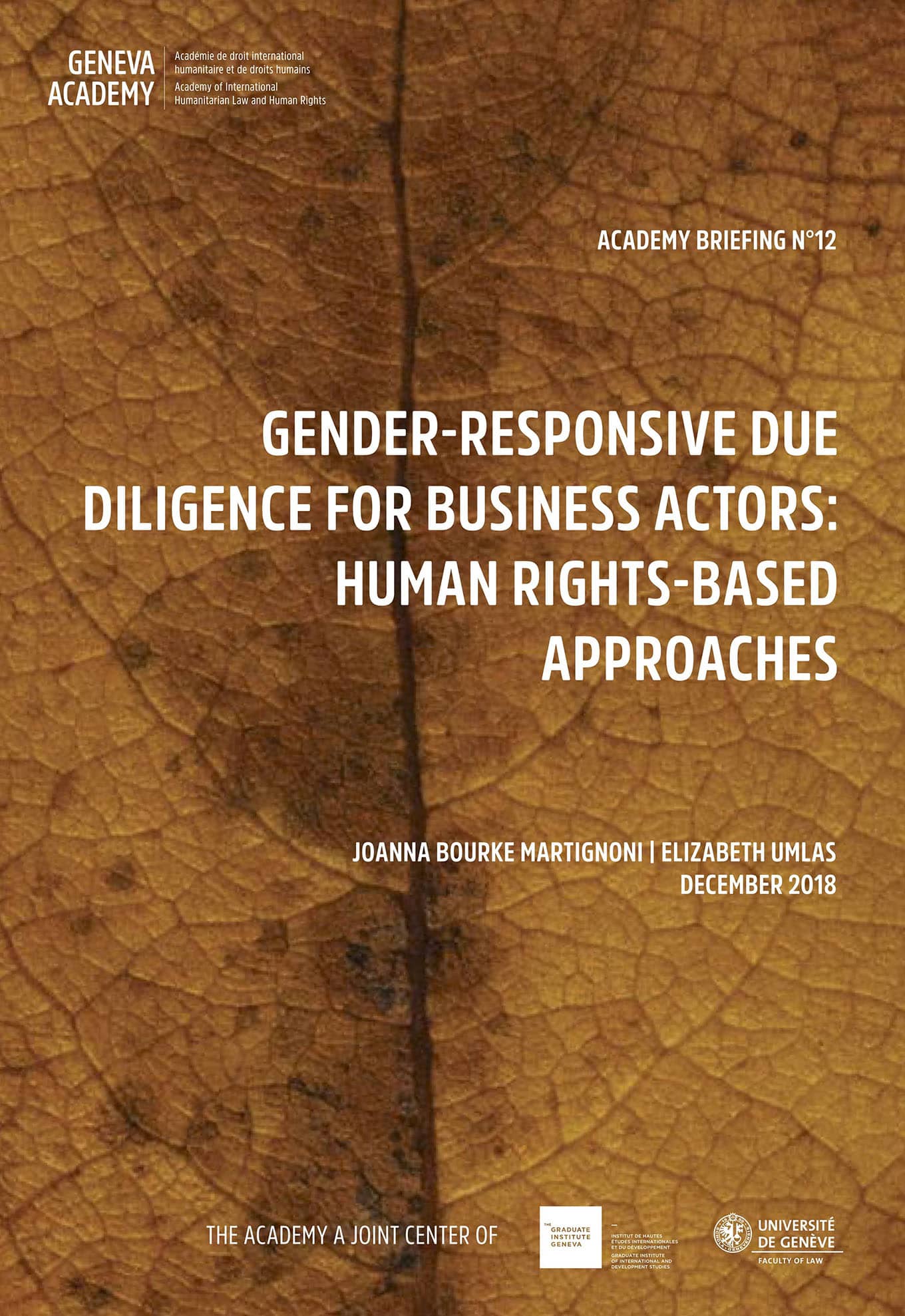 Gender-responsive Due Diligence for Business Actors: Human Rights-Based Approaches (Geneva Academy, 2018)