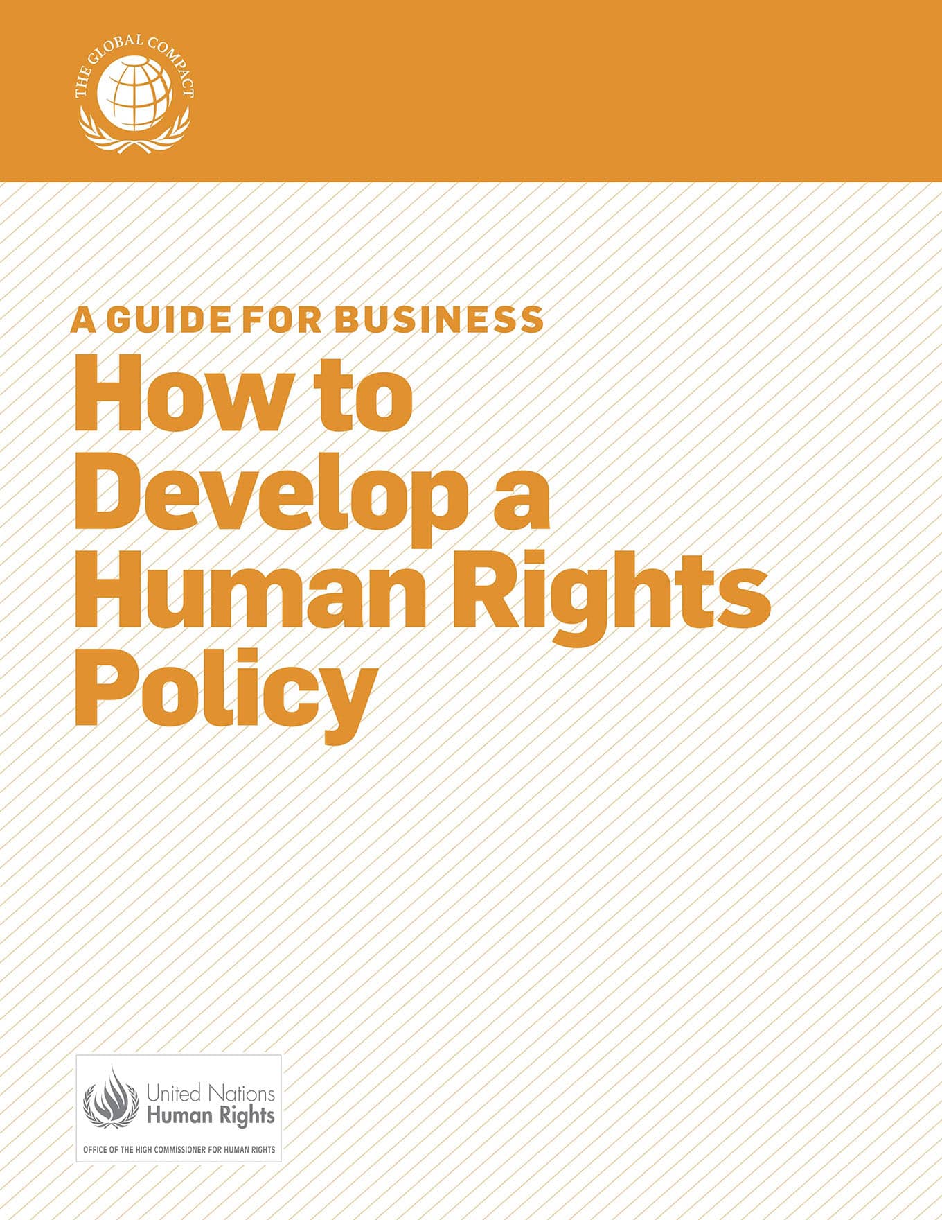 How to Develop a Human Rights Policy (OHCHR and UN Global Compact UNGC, 2011)