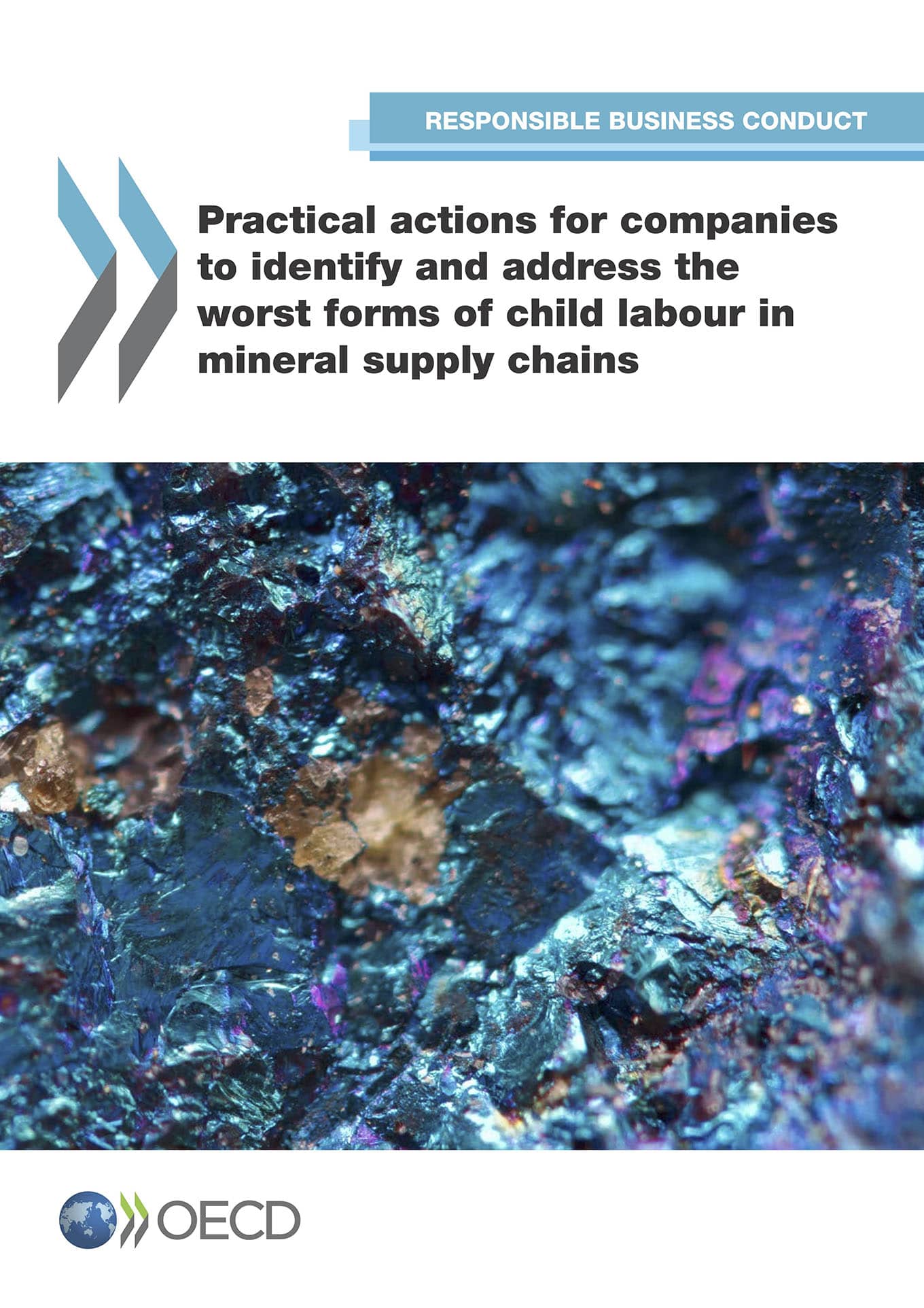 Practical actions for companies to identify and address the worst forms of child labour in mineral supply chains (OECD, 2017)