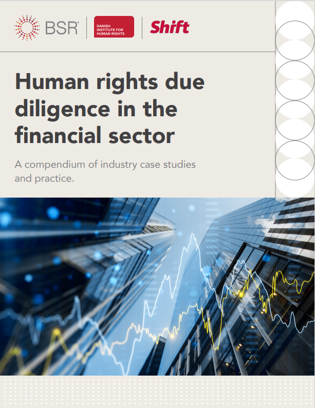 Human rights due diligence in the  financial sector: A compendium of industry case studies  and practice.