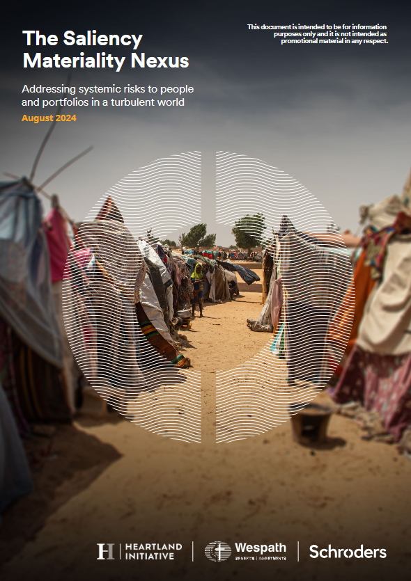 The Saliency Materiality Nexus